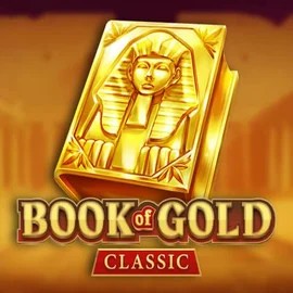 game logo by Playson on instasspin.co.uk
