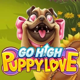 game logo by RubyPlay on instasspin.co.uk